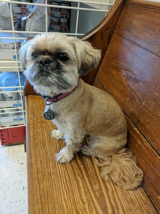 Village Animal Hospital Picture 9