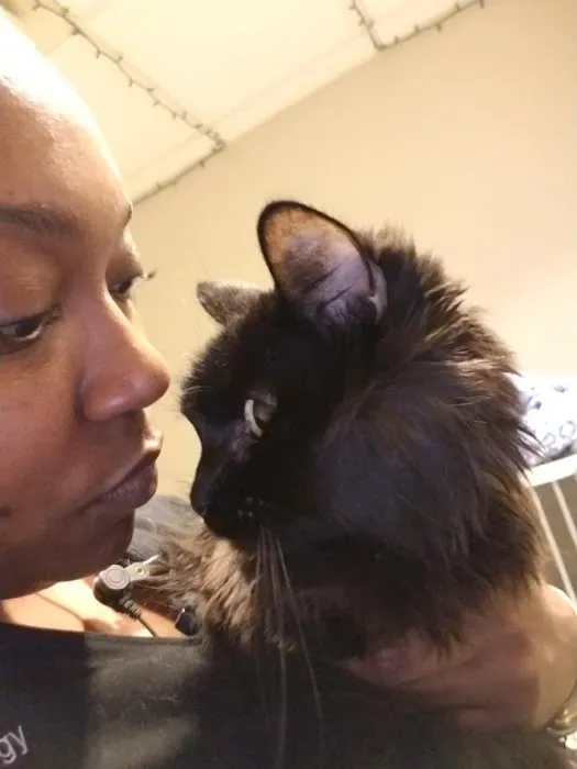 Georgia Veterinary Specialists Picture 5
