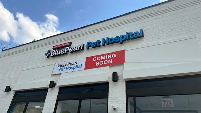 BluePearl Pet Hospital Urgent Care Picture 3
