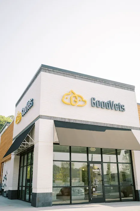 GoodVets Dunwoody Picture 5