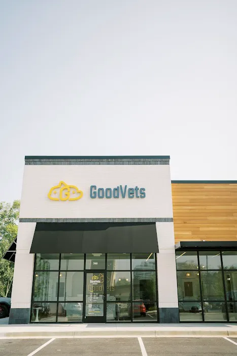 GoodVets Dunwoody Picture 8