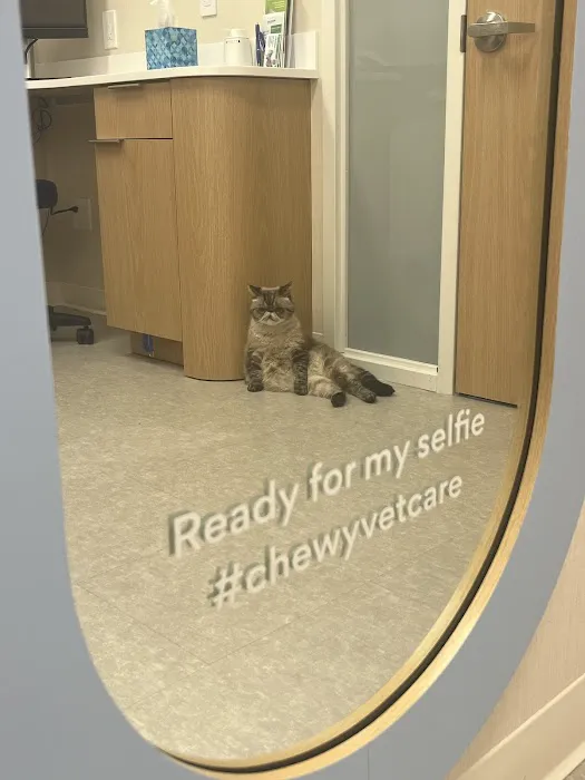 Chewy Vet Care Perimeter Picture 1