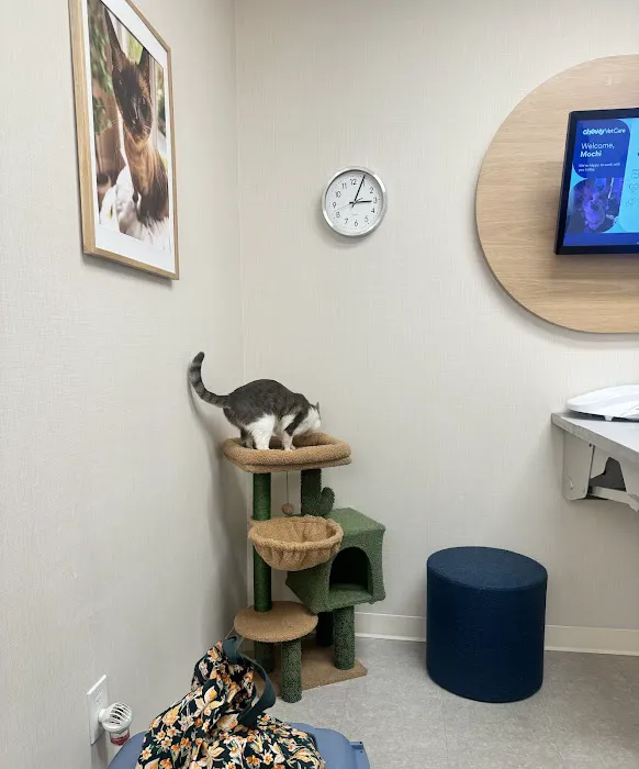 Chewy Vet Care Perimeter Picture 4