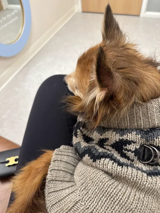 Chewy Vet Care Perimeter Picture 2