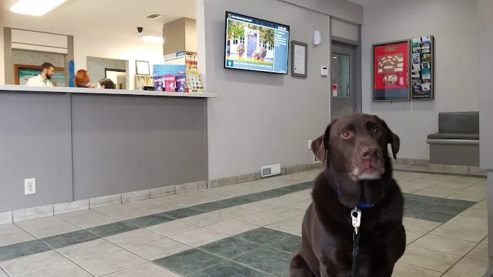 Vernon Woods Animal Hospital Picture 4