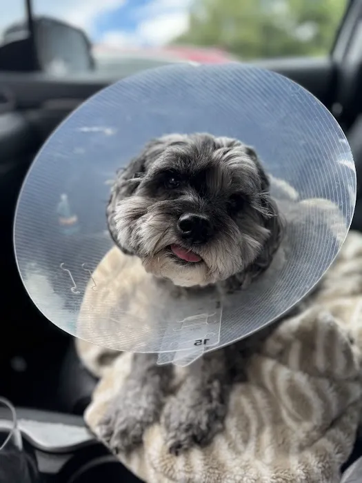 Vernon Woods Animal Hospital Picture 10