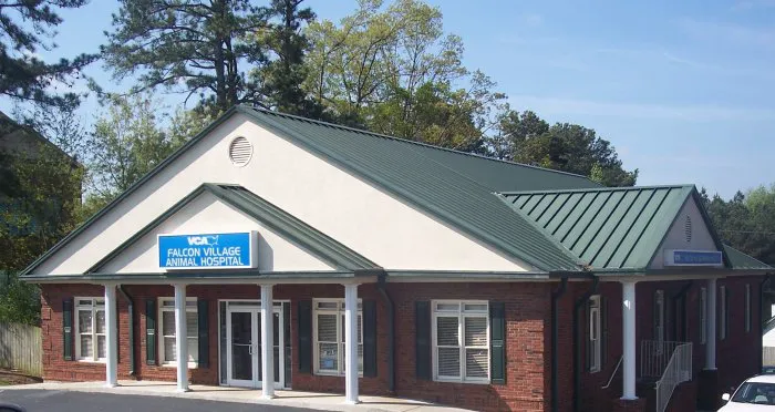 VCA Falcon Village Animal Hospital Picture 5