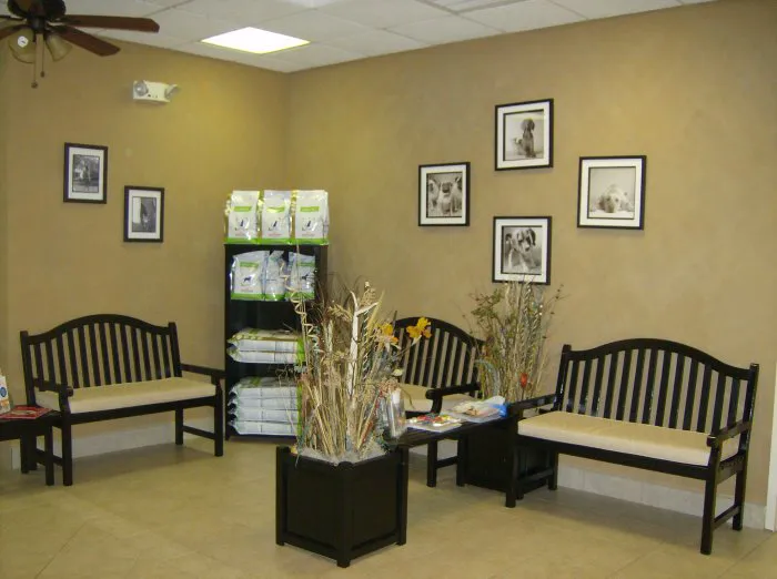 VCA Falcon Village Animal Hospital Picture 8