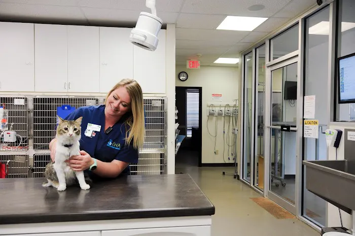 Russell Ridge Animal Hospital Picture 2