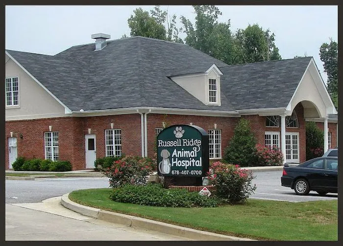 Russell Ridge Animal Hospital Picture 4