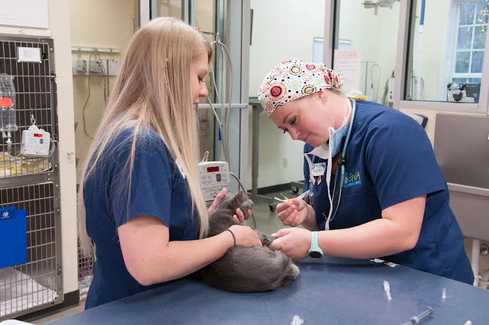 Russell Ridge Animal Hospital Picture 8