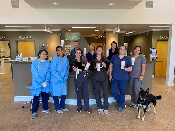 Russell Ridge Animal Hospital Picture 9