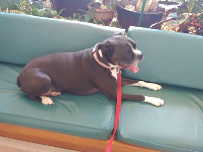 Medlock Bridge Animal Hospital Picture 3