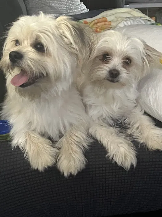 Banfield Pet Hospital Picture 7