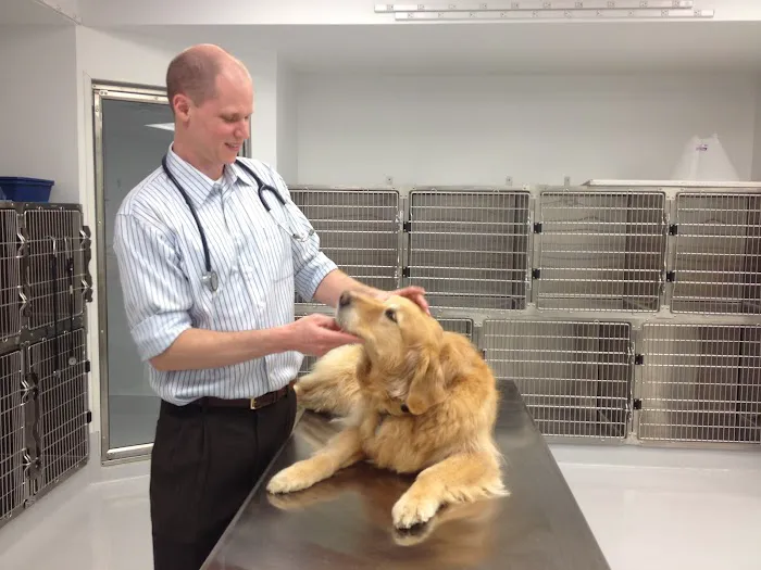 Spalding Animal Hospital Picture 7
