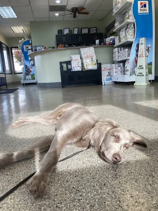 Browns Bridge Animal Hospital Picture 4