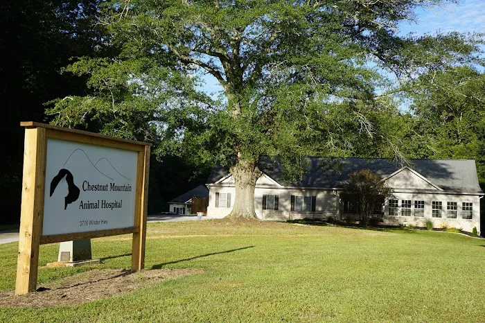 Chestnut Mountain Animal Hospital Picture 5