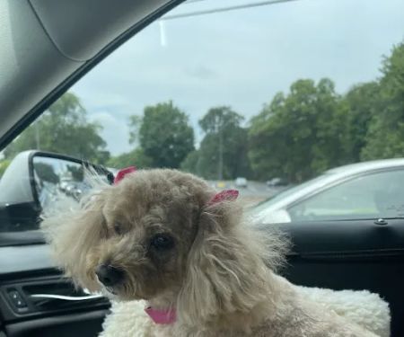 Gainesville Veterinary Hospital
