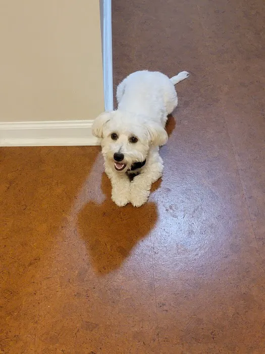 Gainesville Veterinary Hospital Picture 5