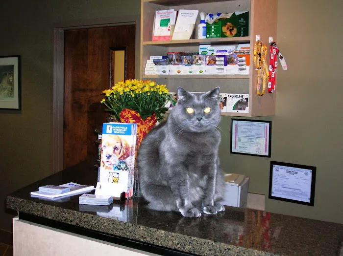 Gainesville Veterinary Hospital Picture 8
