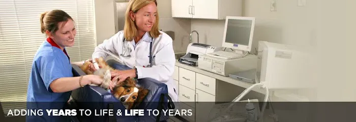 Animal Medical Care Picture 3