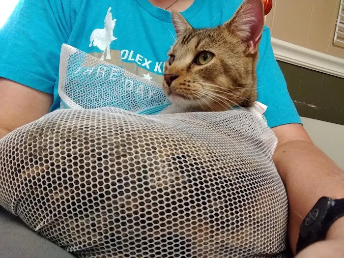 Clermont Veterinary Hospital: Ingle Linda K DVM Picture 1
