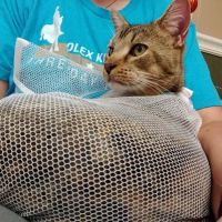 Clermont Veterinary Hospital: Ingle Linda K DVM ico