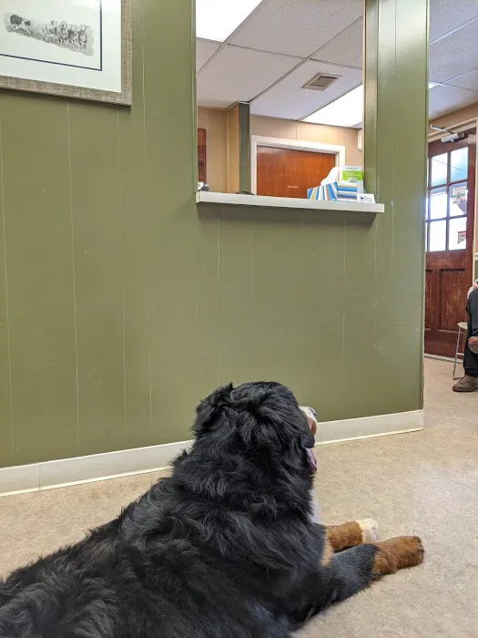 Clermont Veterinary Hospital: Ingle Linda K DVM Picture 3