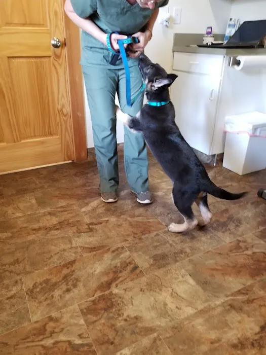 Mt. Yonah Animal Hospital Picture 1
