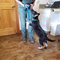 Mt. Yonah Animal Hospital ico