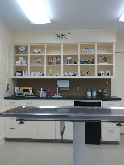 Cleveland Veterinary Hospital Picture 4