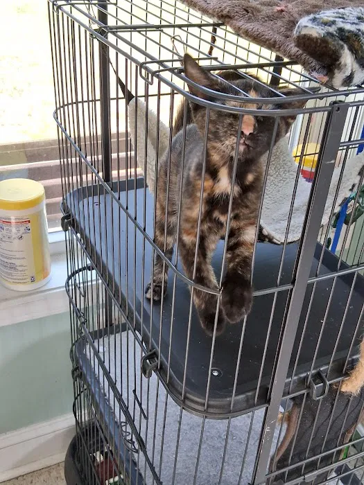 The Love Pet Clinic Picture 3