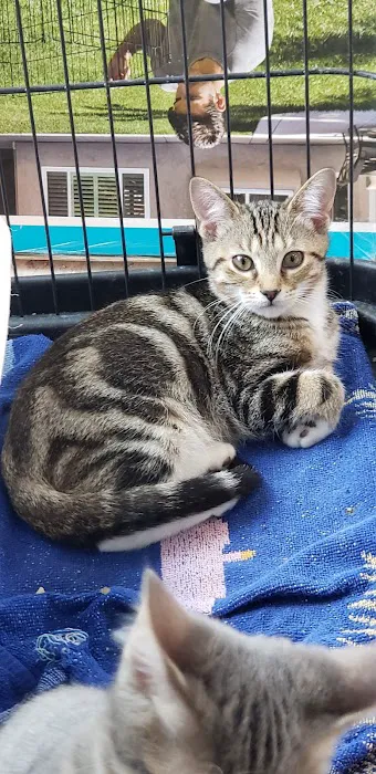 The Love Pet Clinic Picture 2