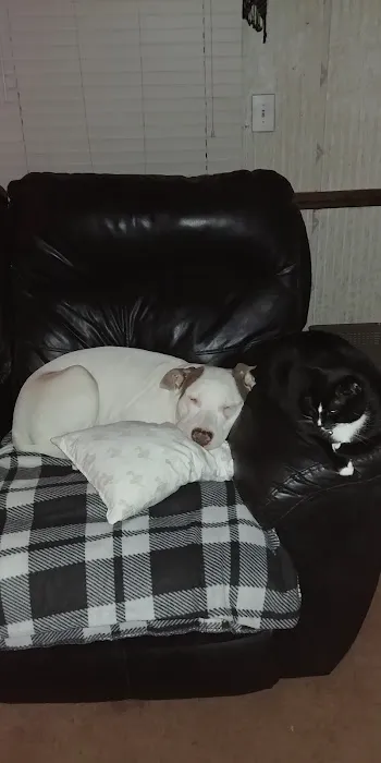The Love Pet Clinic Picture 6