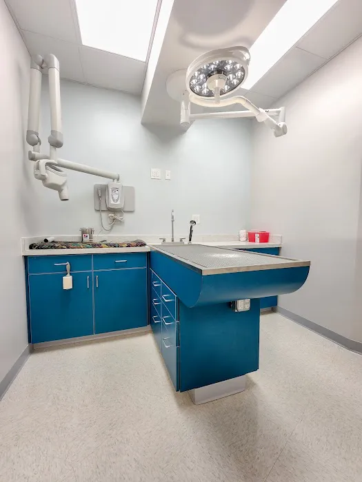Dunes Veterinary Clinic Picture 1