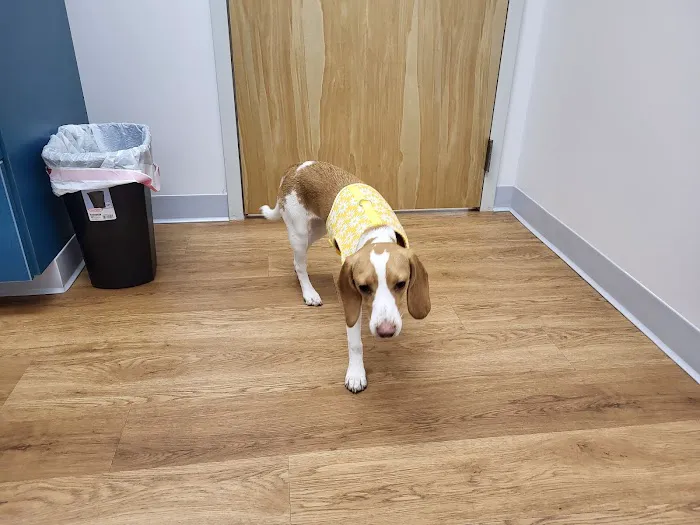 Dunes Veterinary Clinic Picture 8