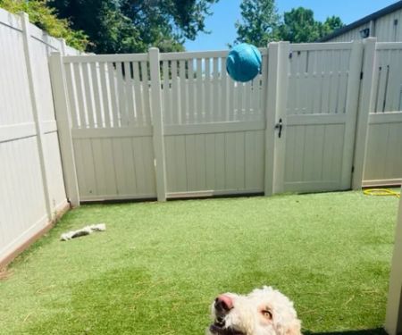 Coastal Veterinary Care