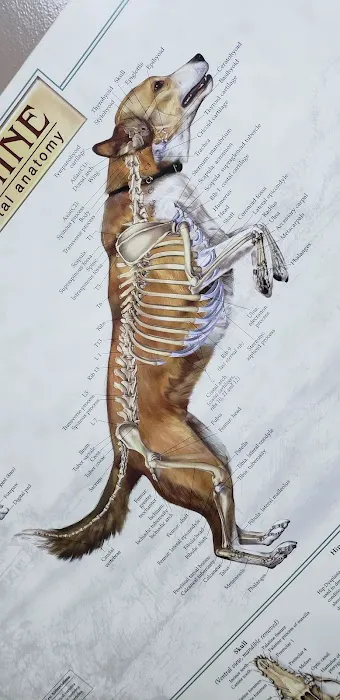 animal hospital of south columbus Picture 6
