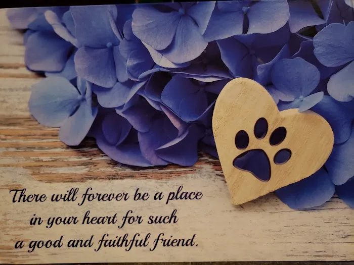 animal hospital of south columbus Picture 8
