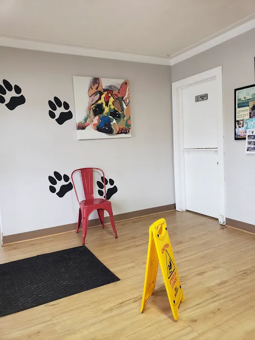 Columbus Veterinary Clinic Picture 1
