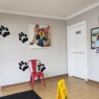 Columbus Veterinary Service : Dr. Burroughs DVM ico