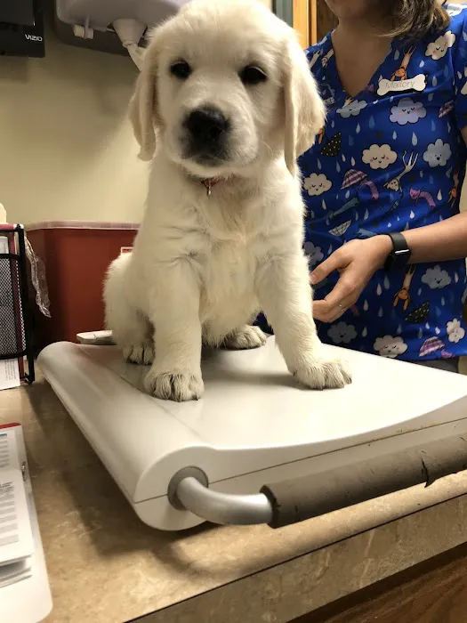 Elizabethtown Veterinary Hospital Picture 4