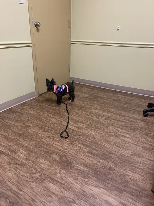 Animal Wellness Center Picture 1