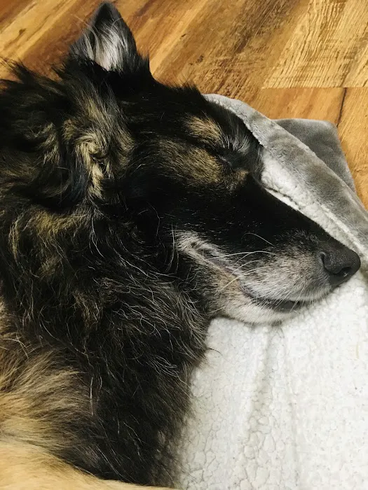 Animal Wellness Center Picture 9