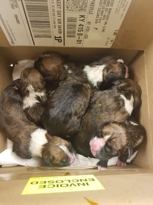 East Kentucky Animal Clinic Picture 3