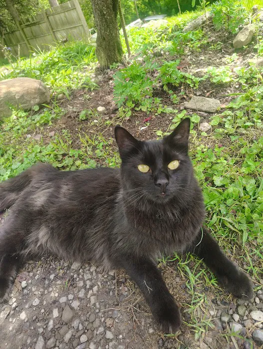 East Kentucky Animal Clinic Picture 6