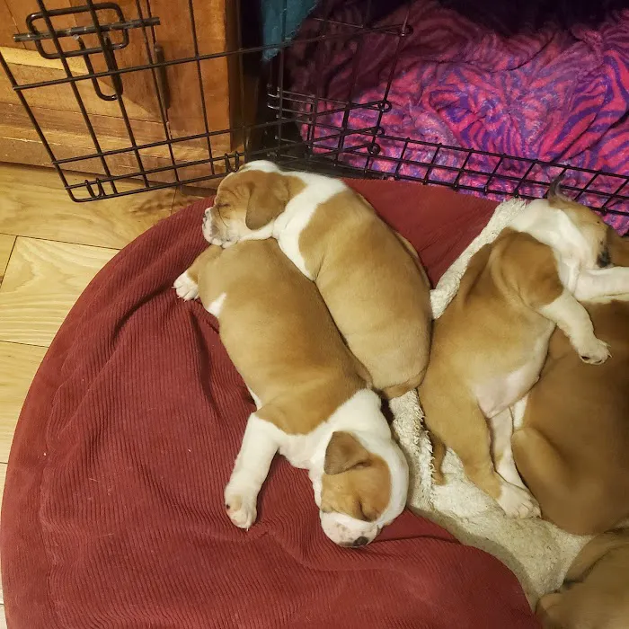 East Kentucky Animal Clinic Picture 9