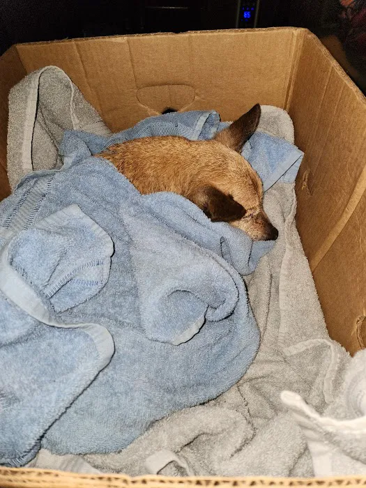 East Kentucky Animal Clinic Picture 7