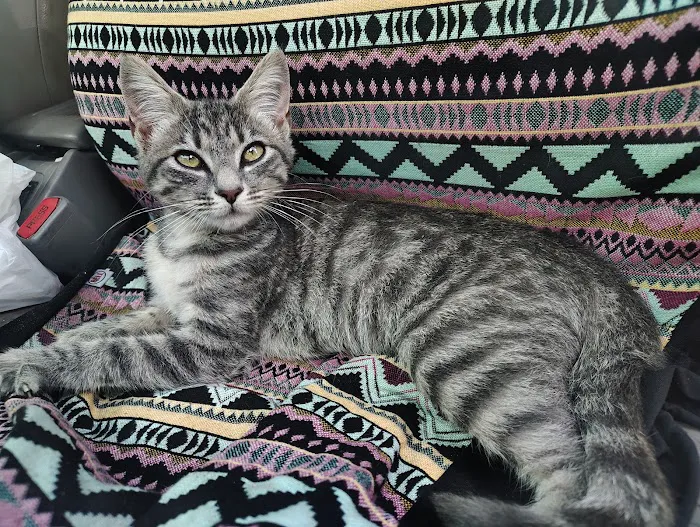East Kentucky Animal Clinic Picture 10