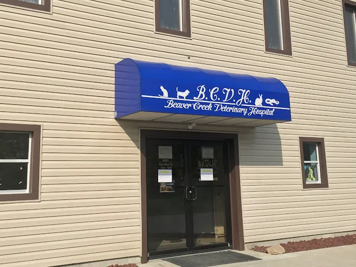 Beaver Creek Veterinary Hospital Picture 2